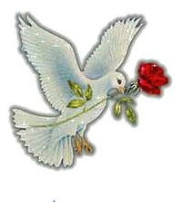 Вероника Александрова