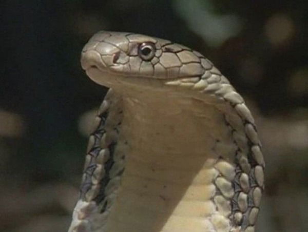 Валентина Vvvvvvvvvvvvvvv