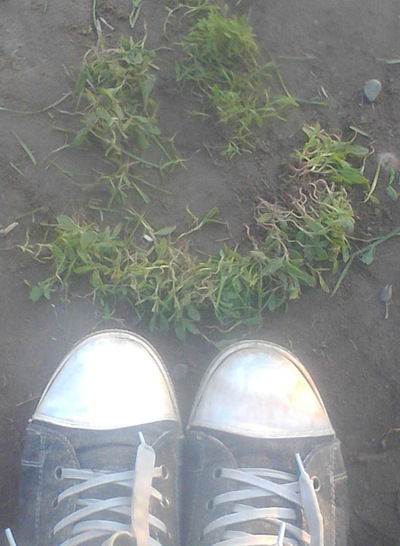 Екатерина Квиндт