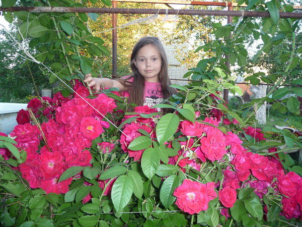 Лиза Крылатова