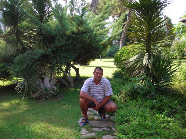 Иван Дворников