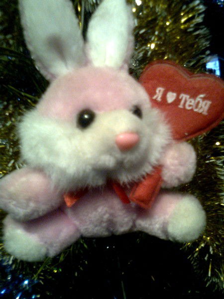 Зоя Полудина