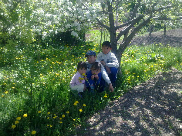 Айгуль Заурбекова