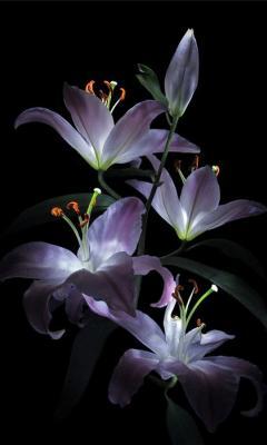 Лилия Круглова