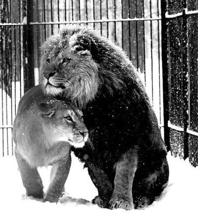 Серега Астанин