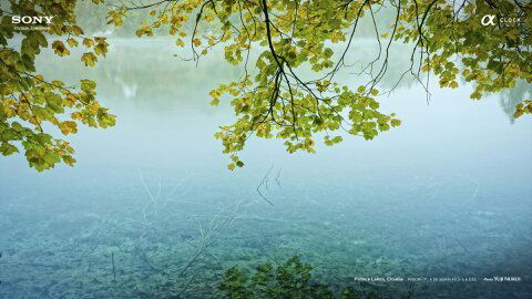 Елена Петрова