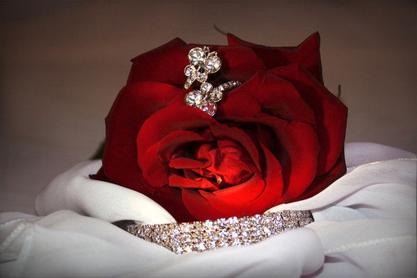 Жаным Махаббатым