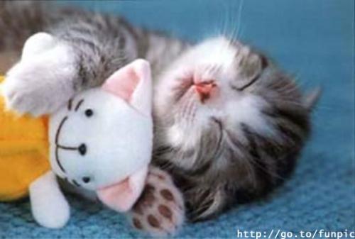 Анастасия Агафонова