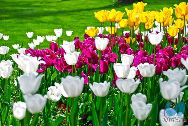 Самал Сейполдаева