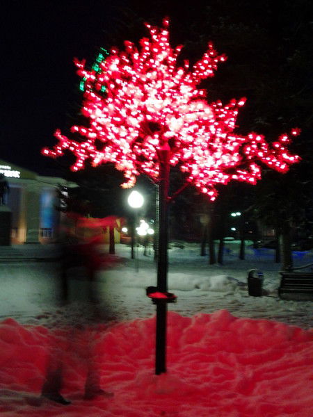 Николай Сотников