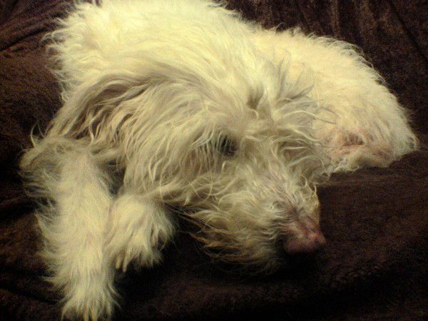 Сергей Белозуб