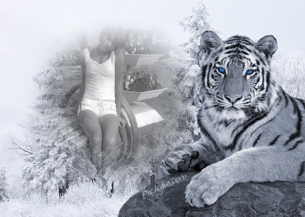 Анна Сидоренко