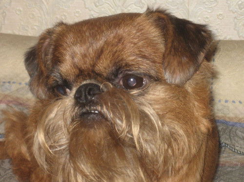 Ирина Кюнер