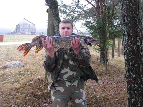 Cергей Колошич