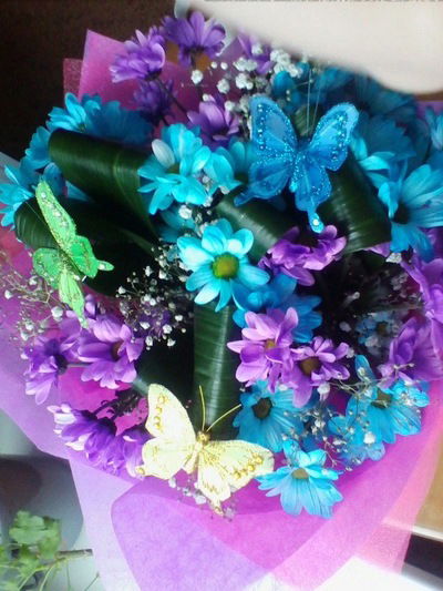 Елена Михалёва