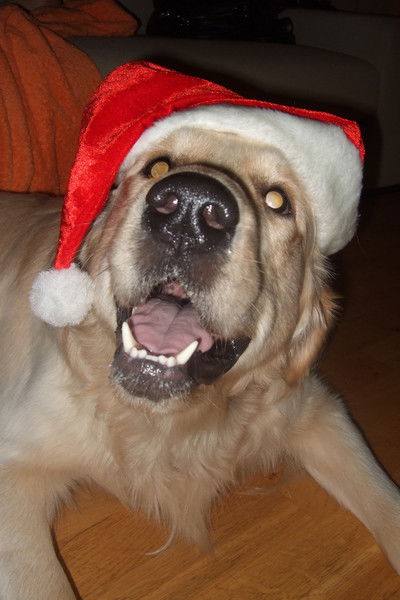 Юрий Цилькер