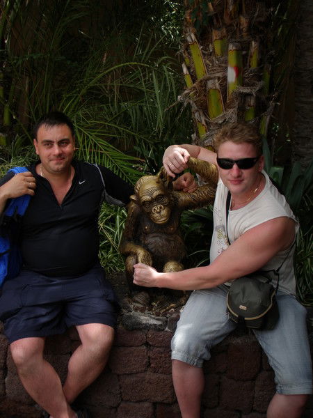 Евгений Цодиков