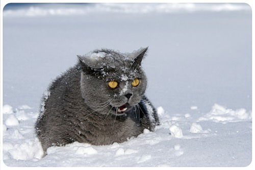 Галина Сабаева