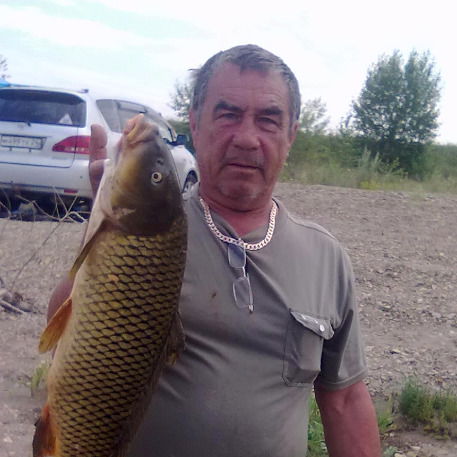 Гена Тестов