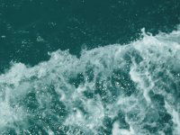 Елена Филиппова