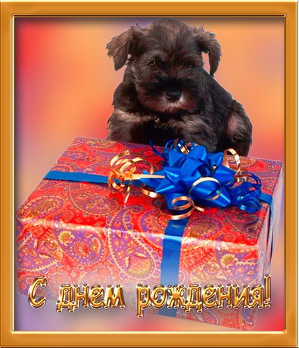 Николай Изюмский