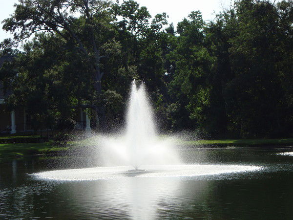 Ксения Сатлайкина