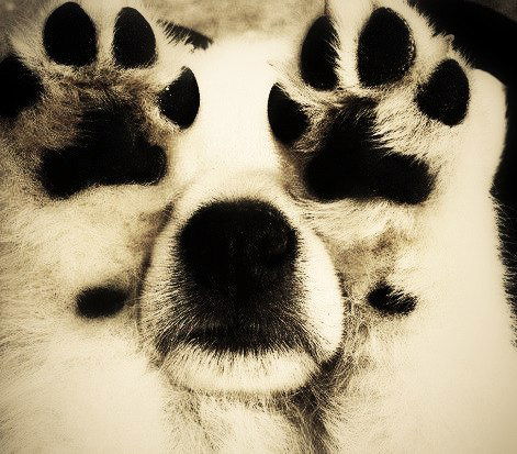 Олеся Гильмиярова