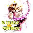 Tkbpfdtnf *