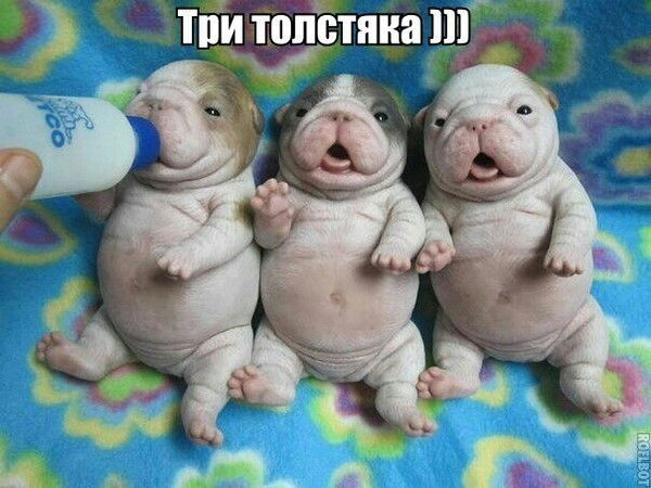 Гулзат Ракымкызы