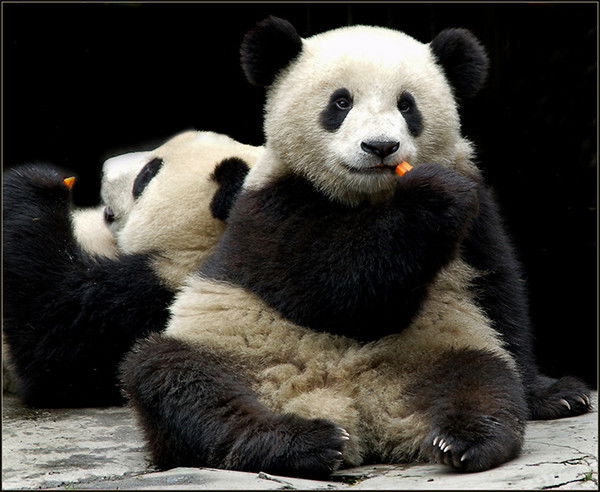 Вера Васильева