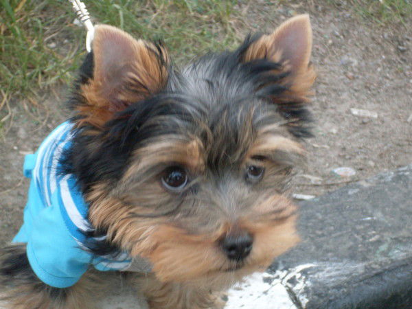 Надежда Васенина