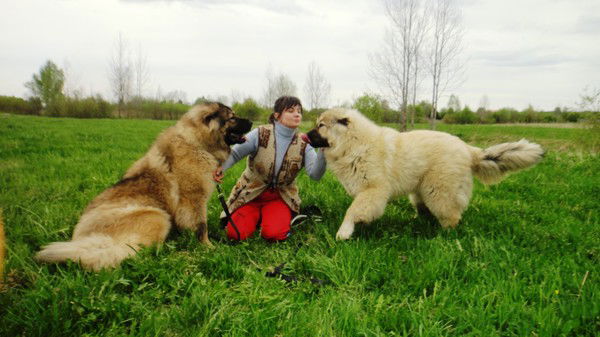 Марина Съедина