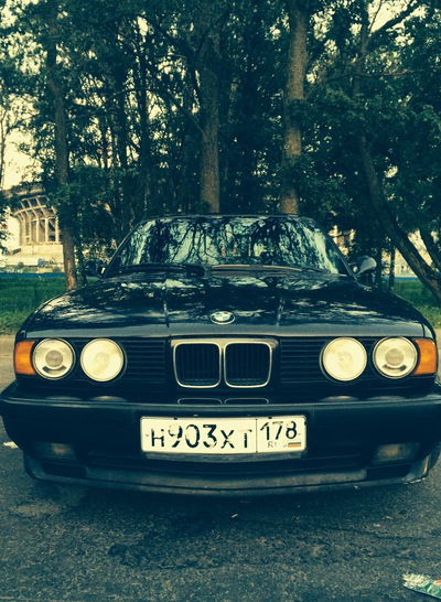 Дмитрий Евтушенко