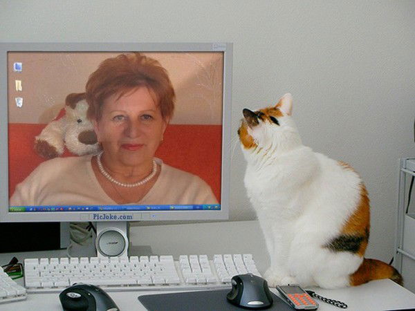 Маргарита Авчинникова