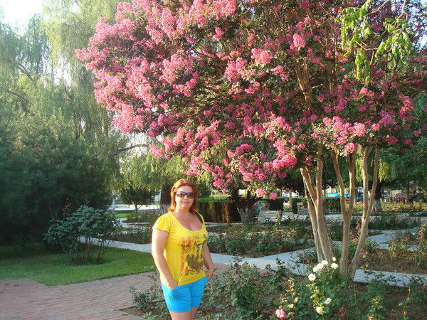 Алена Иванова