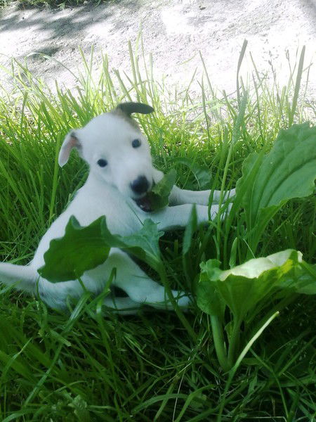 Татьяна Пономаренко