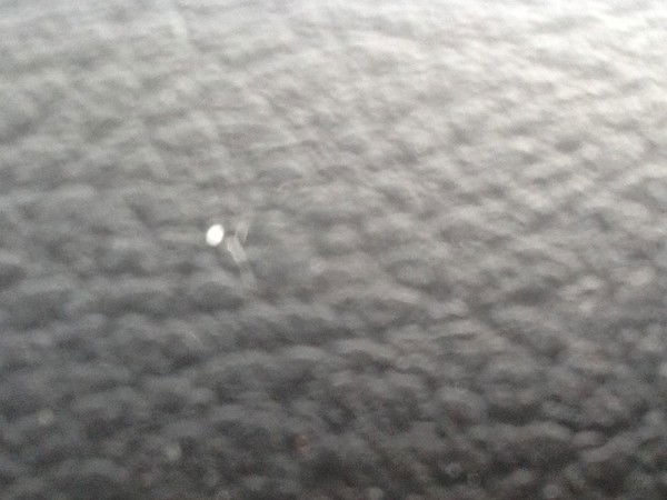 Антон Прозоров