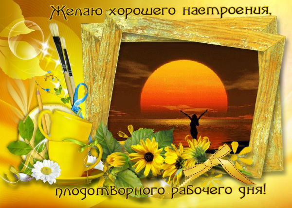 Светлана Баранова