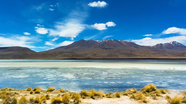 Мугамира Сейтова