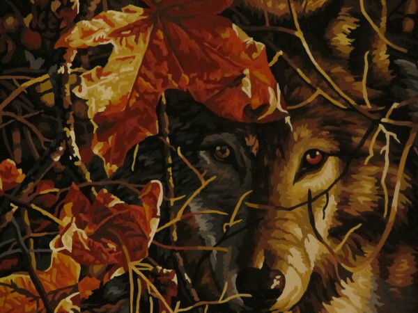 Шепелева Наталия