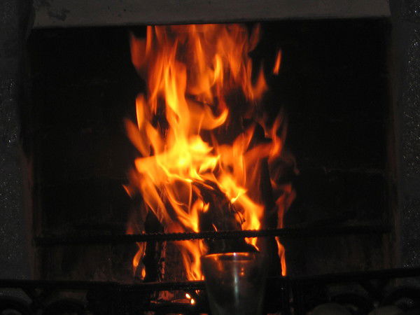 Анна Шавкунова