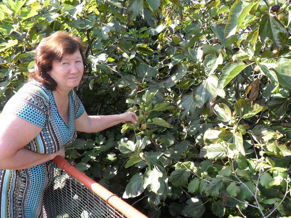 Любовь Булкина