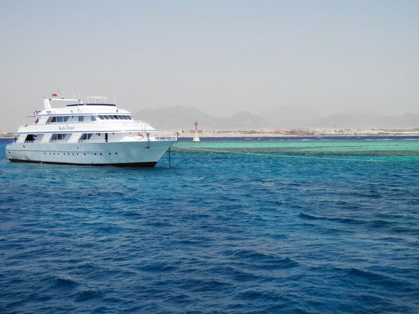 Александр Щеглов