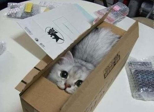 Нургуль Альмухамбетова