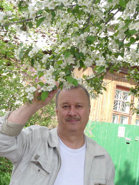 Анатолий Качеев