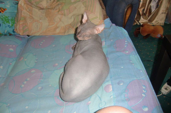 Юрий Чернышёв