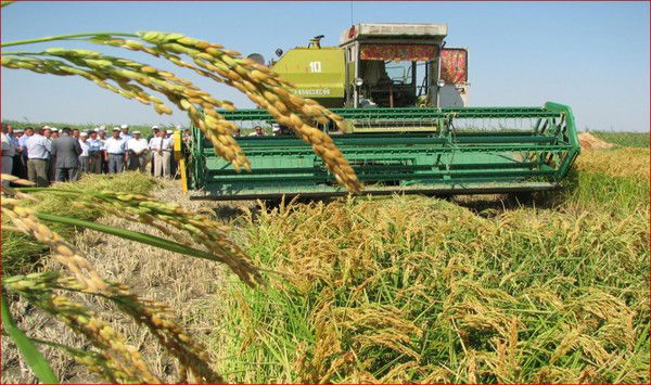 Сырдария Аудандык Ауыл Шаруашылыгы Болим