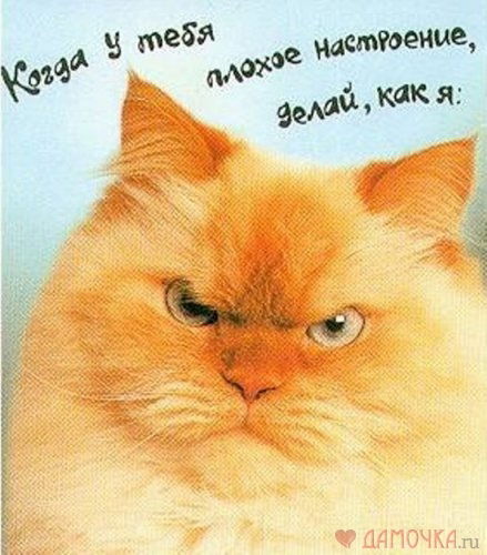 Наталия Турова