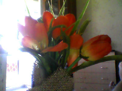 Галина Трунова