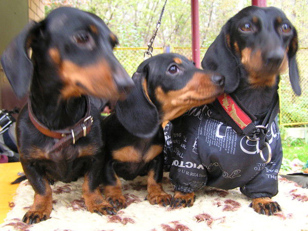 Ирина Пономарчук